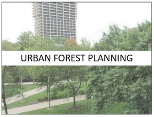 Urban Forest Management Planning